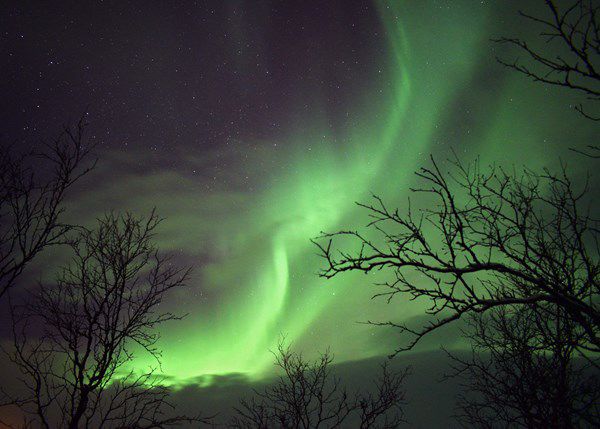 Northern Lights Delight